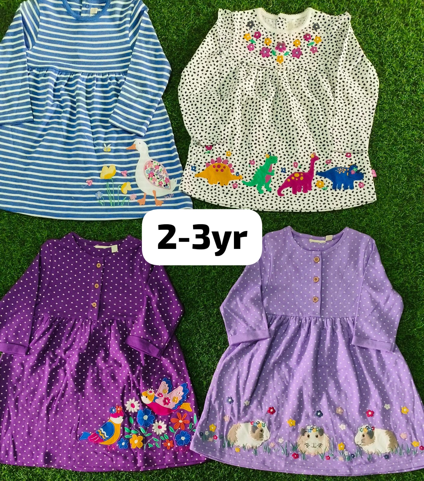 Jojo Brand Embroidery Frock
