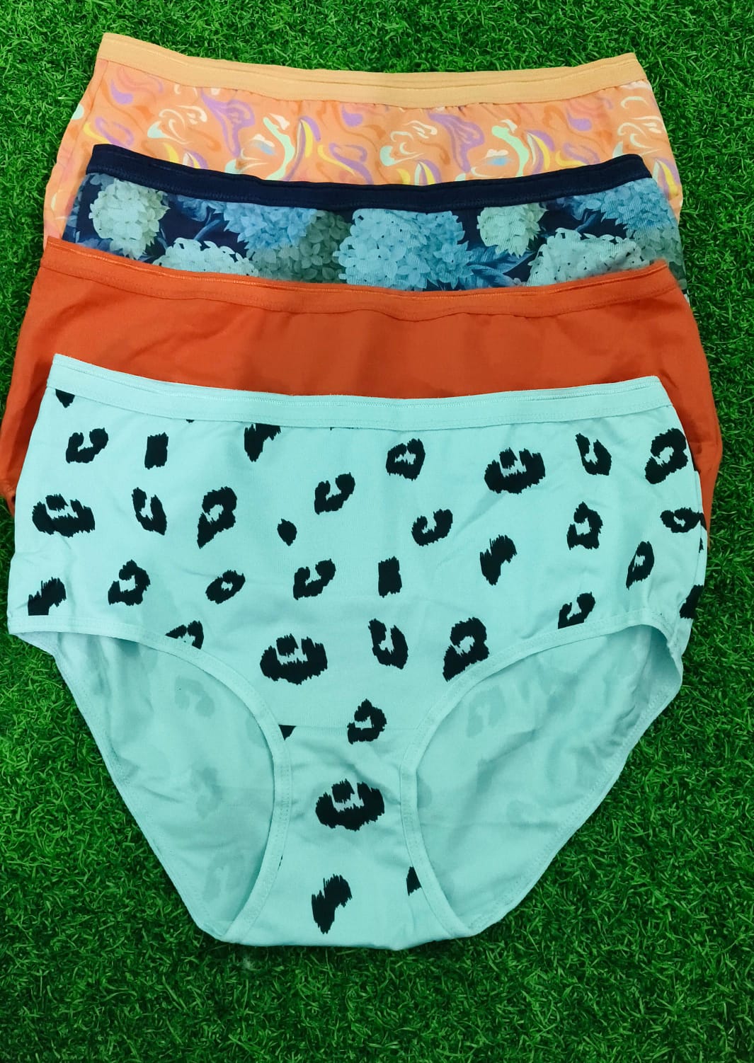 INDISHAPE Brand Women's Brief | Combo No 30