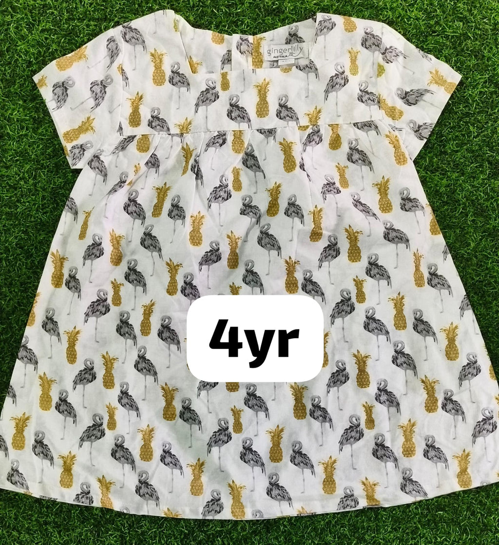 Jojo Brand Embroidery Frock