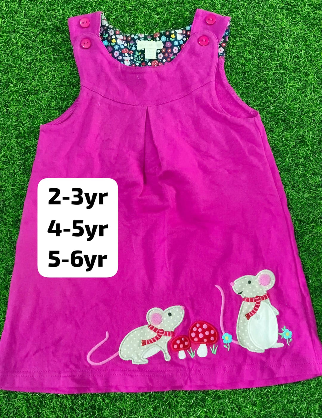 Jojo Brand Embroidery Frock