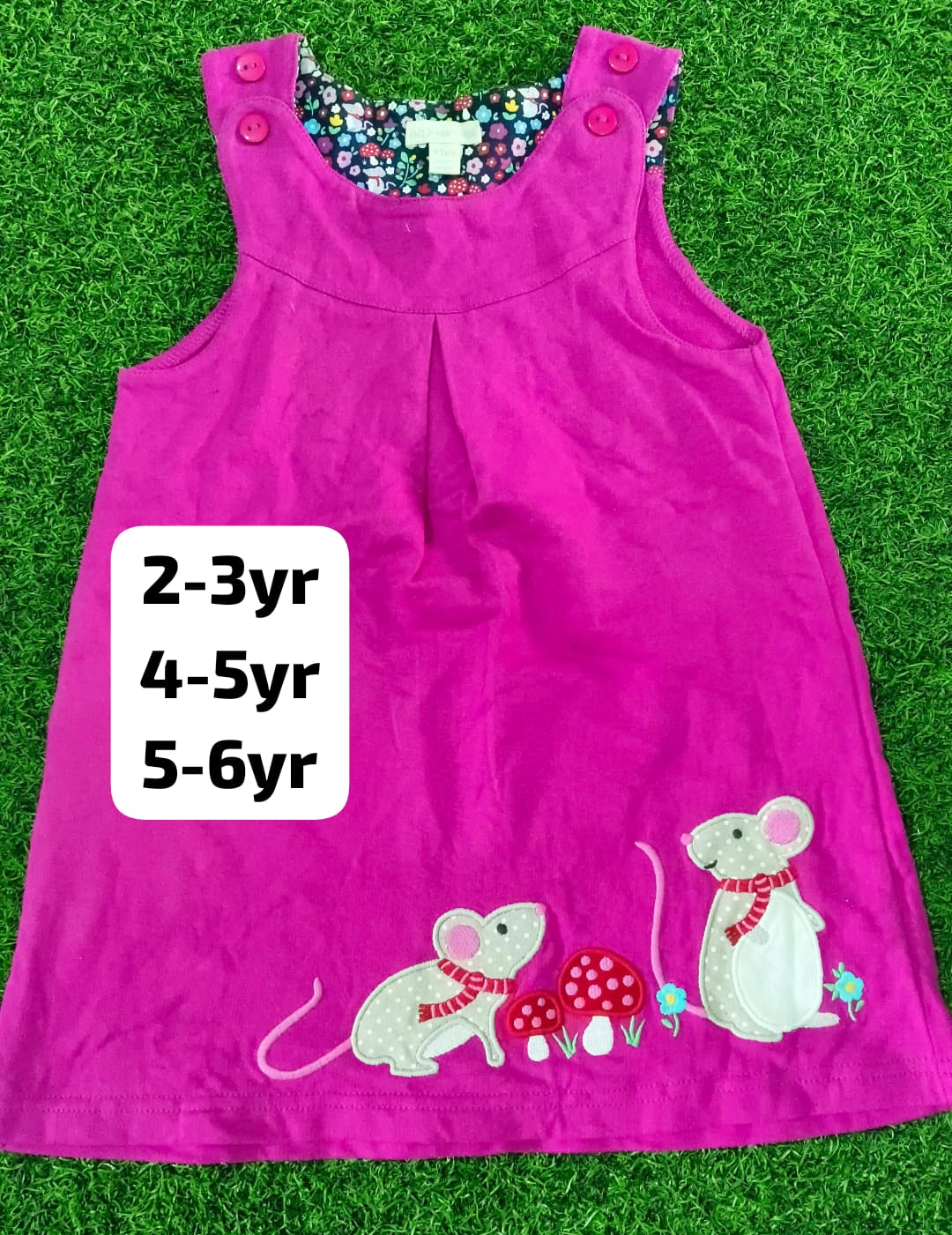Jojo Brand Embroidery Frock
